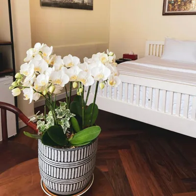 9 Hostel and Suites – Foto’s 11